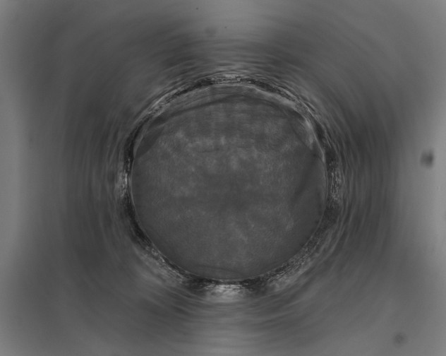 X0000097910324200803281409