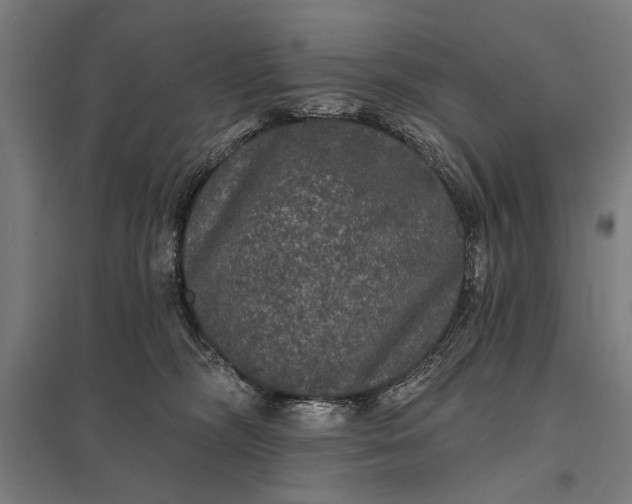 X0000097910326200803281408