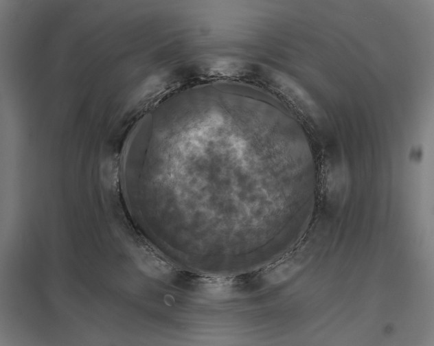 X0000097910328200803281408