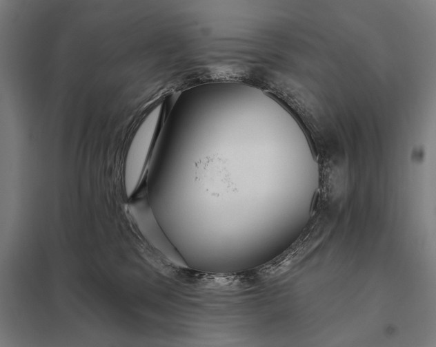 X0000097910329200803281408