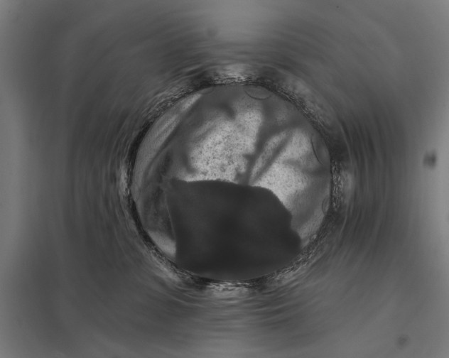 X0000097910331200803281408