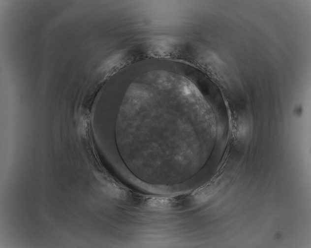 X0000097910332200803281408