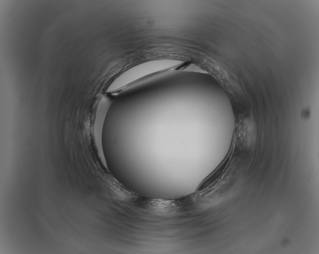 X0000097910333200803281408