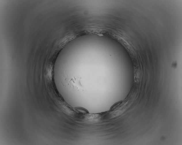 X0000097910334200803281408