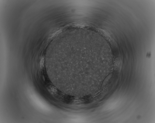 X0000097910335200803281408