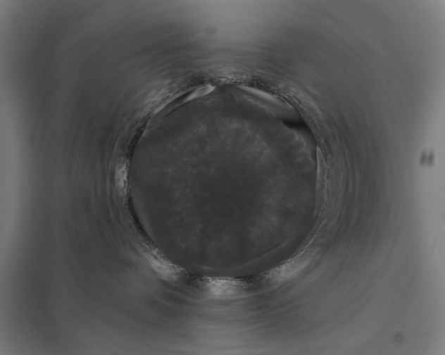 X0000097910336200803281408