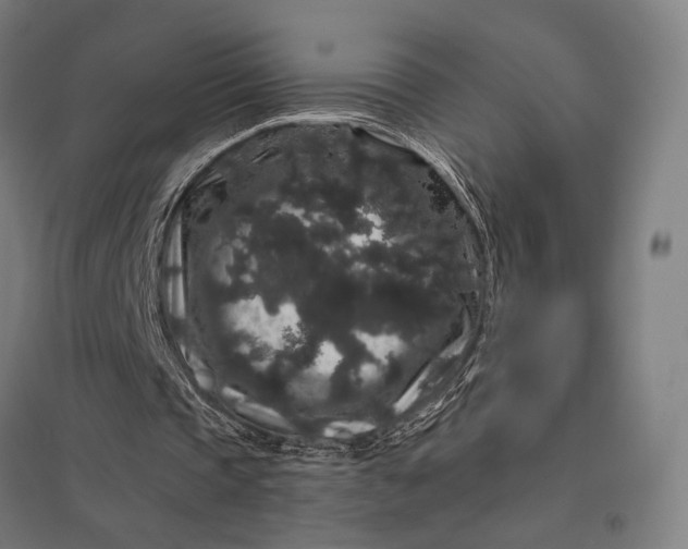 X0000097910337200803281408