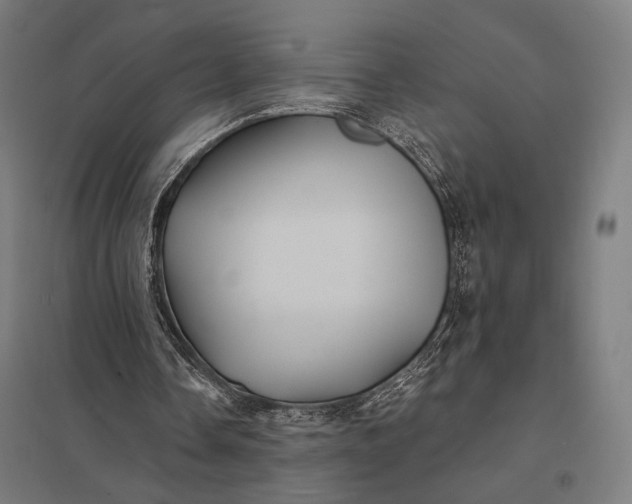 X0000097910338200803281408