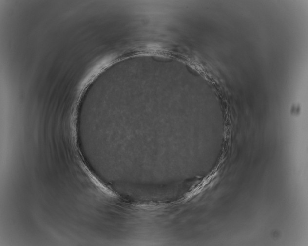 X0000097910341200803281408