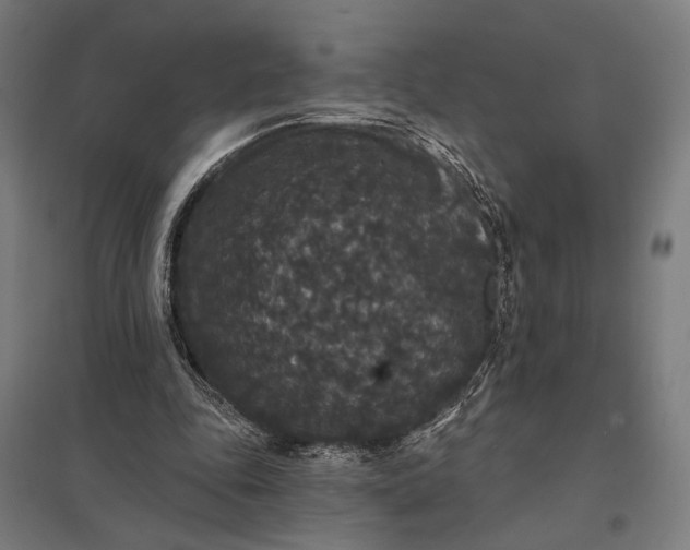 X0000097910343200803281408