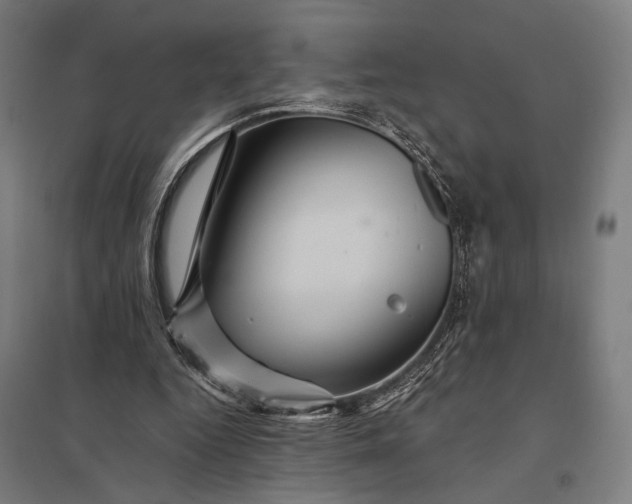 X0000097910344200803281408