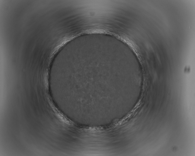 X0000097910345200803281408