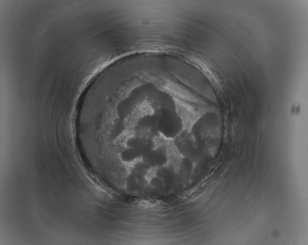 X0000097910346200803281408