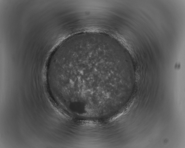 X0000097910347200803281408