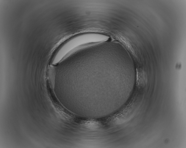 X0000097910348200803281408