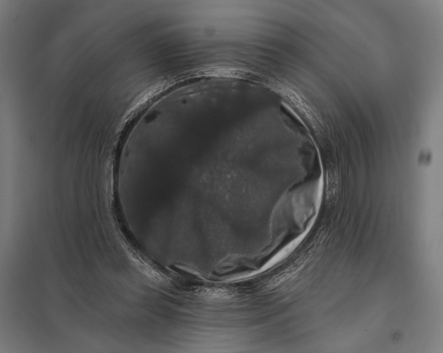 X0000097910349200803281408