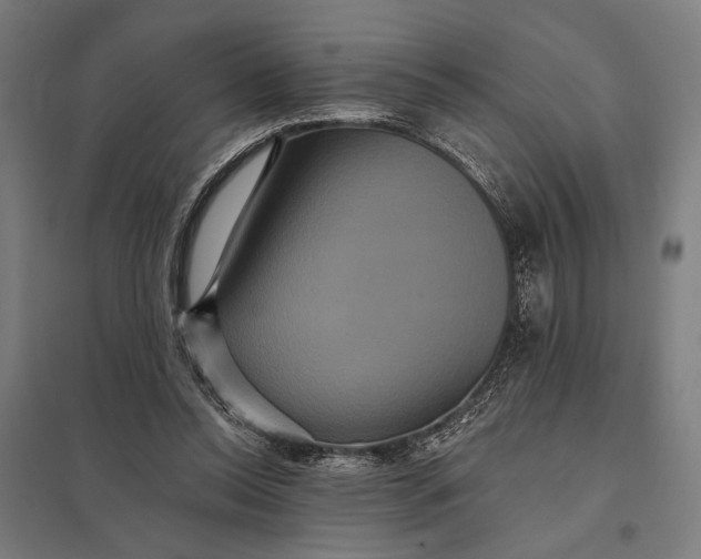 X0000097910350200803281408