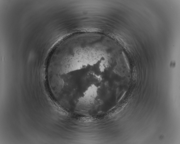 X0000097910351200803281408