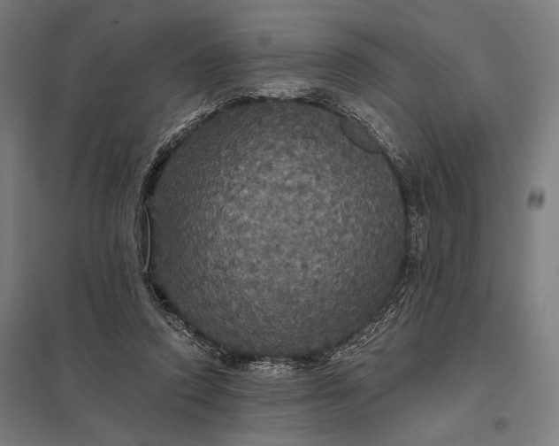 X0000097910354200803281408