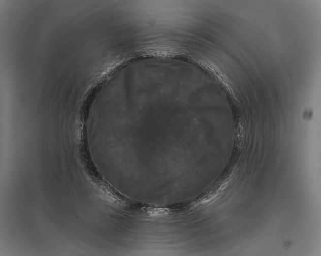 X0000097910355200803281408