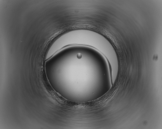 X0000097910356200803281408