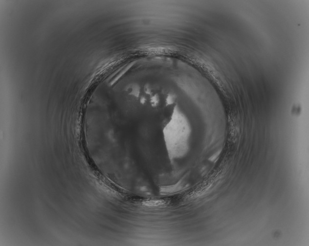 X0000097910357200803281408