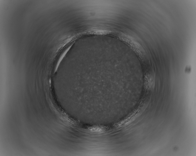 X0000097910358200803281408