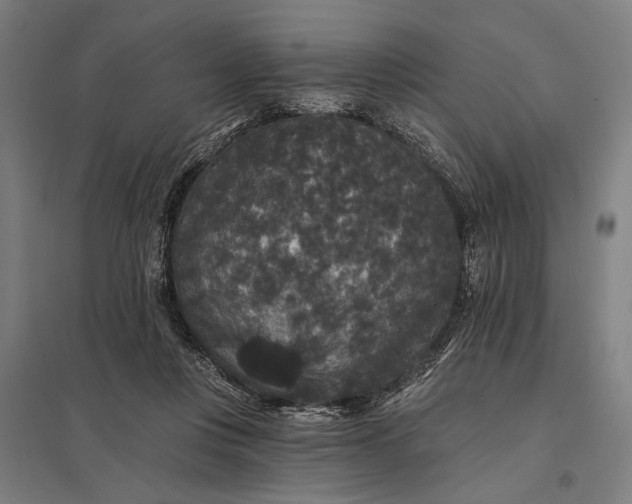 X0000097910359200803281408