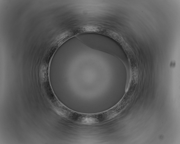 X0000097910360200803281408