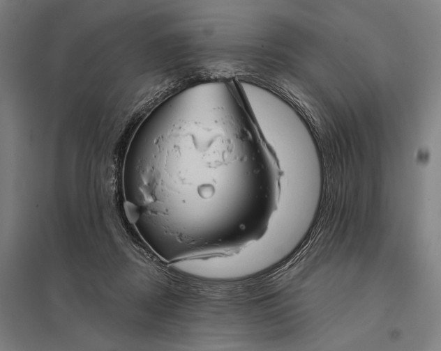 X0000097910362200803281408