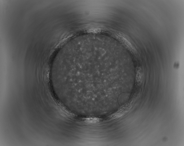 X0000097910363200803281408