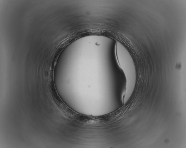 X0000097910364200803281408