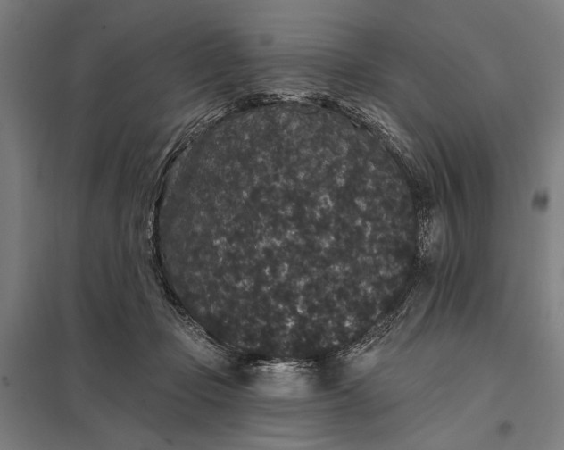 X0000097910365200803281408