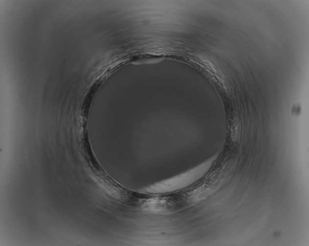 X0000097910366200803281408