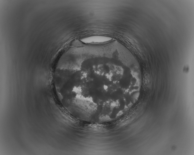 X0000097910367200803281408