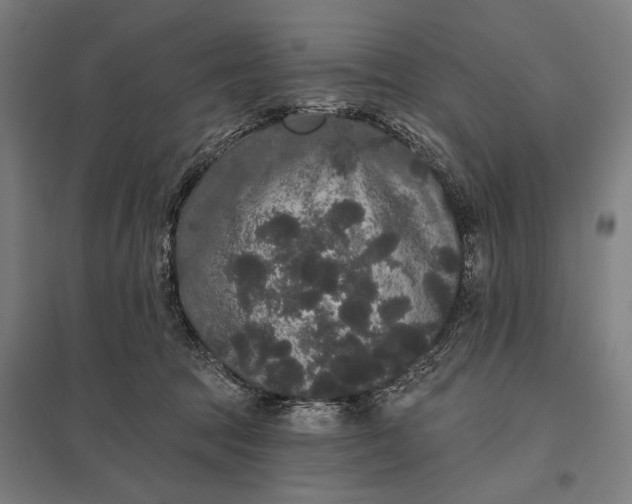 X0000097910369200803281408