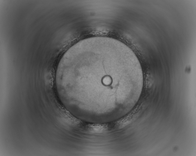 X0000097910370200803281408