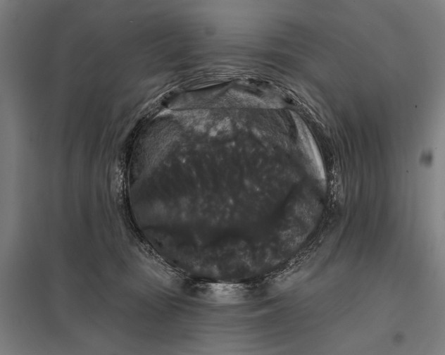 X0000097910371200803281408