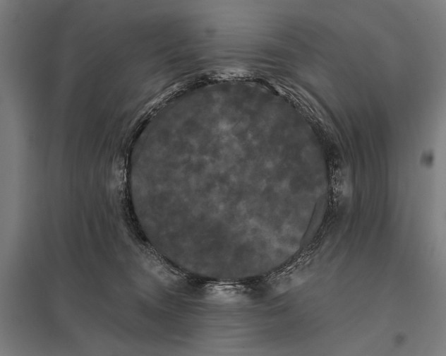 X0000097910372200803281408