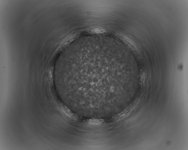 X0000097910373200803281408