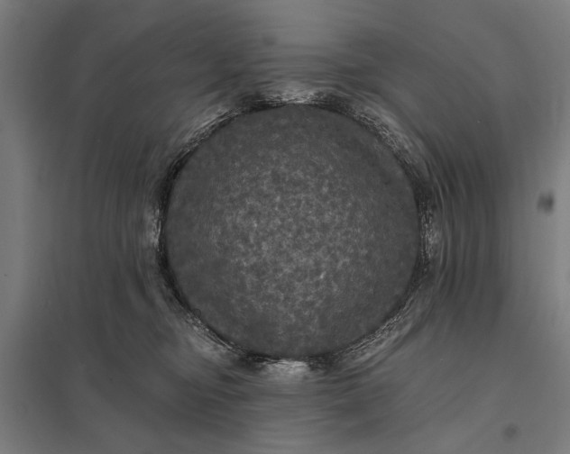 X0000097910374200803281408