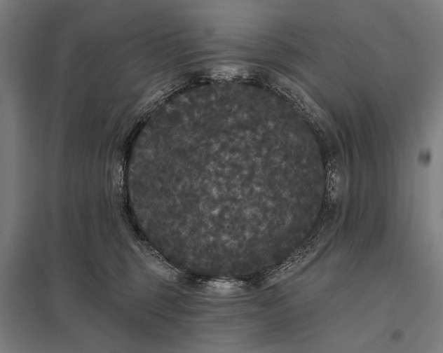 X0000097910375200803281408