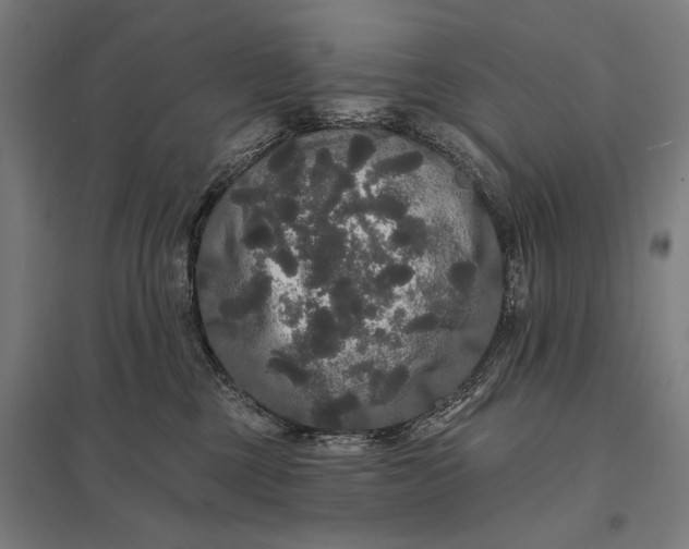 X0000097910377200803281408