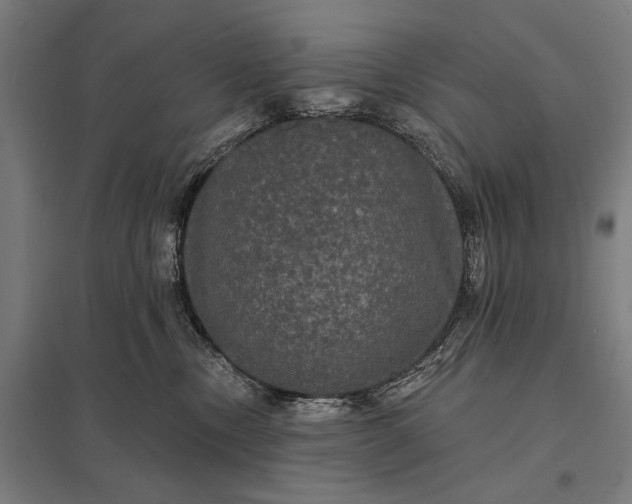 X0000097910378200803281408