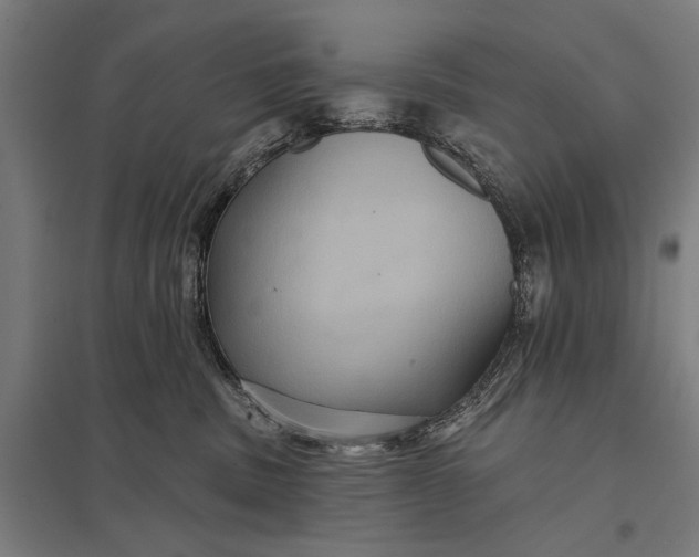 X0000097910379200803281408