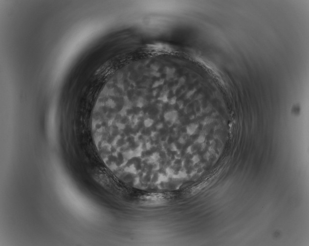 X0000097910381200803281408