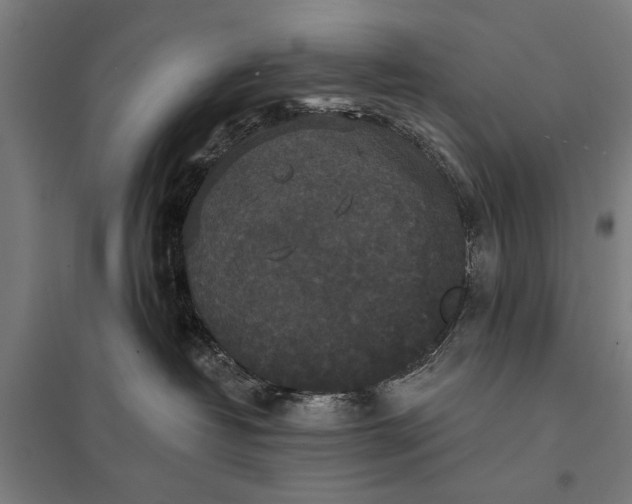 X0000097910382200803281408