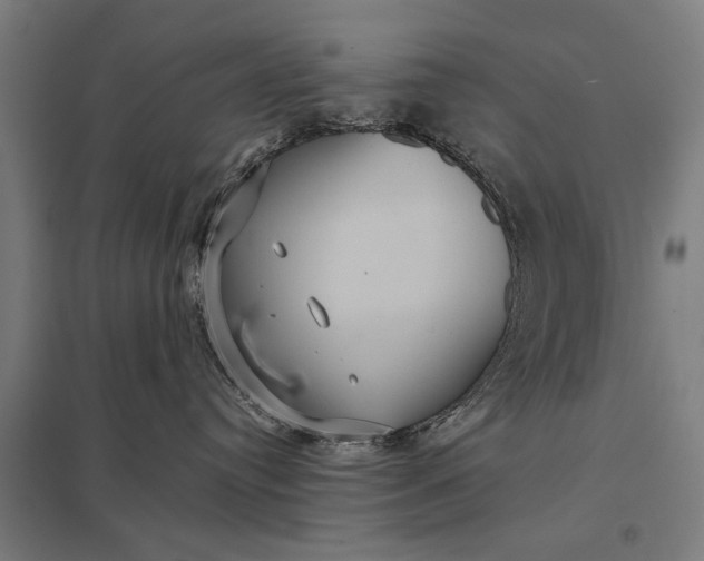 X0000097910384200803281408