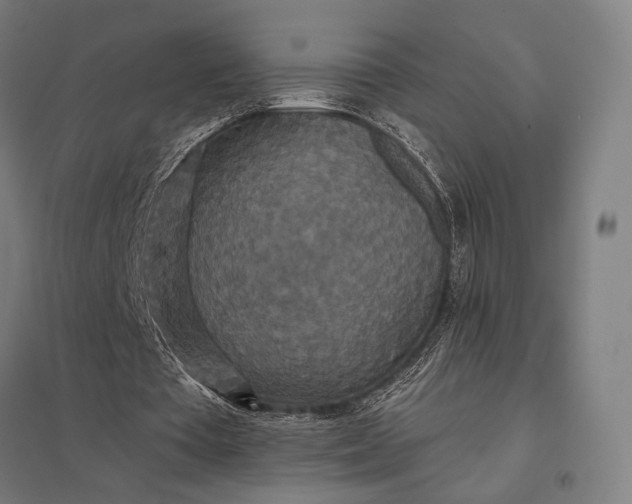 X0000097910385200803281408