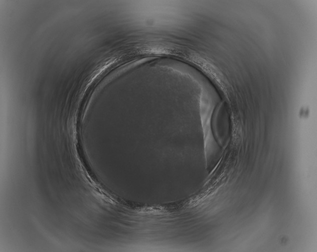 X0000097910386200803281407